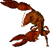 Giant-Crayfish